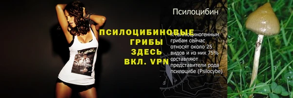 индика Ладушкин