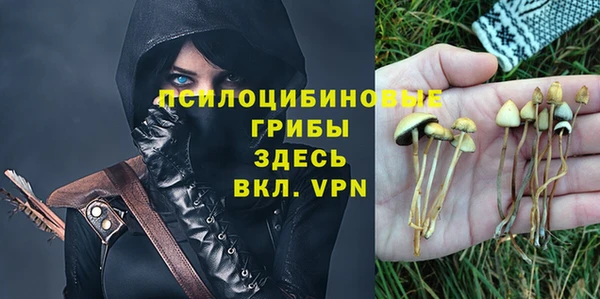 мяу мяу мука Лабытнанги