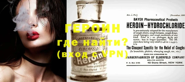 индика Ладушкин