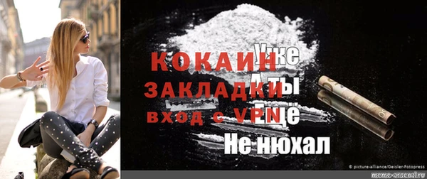 индика Ладушкин