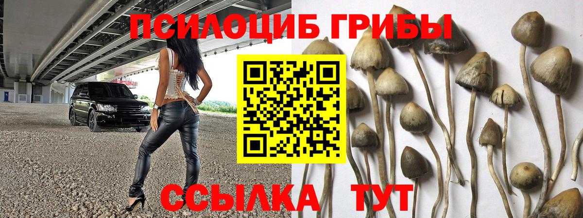 Галлюциногенные грибы прущие грибы Брянск